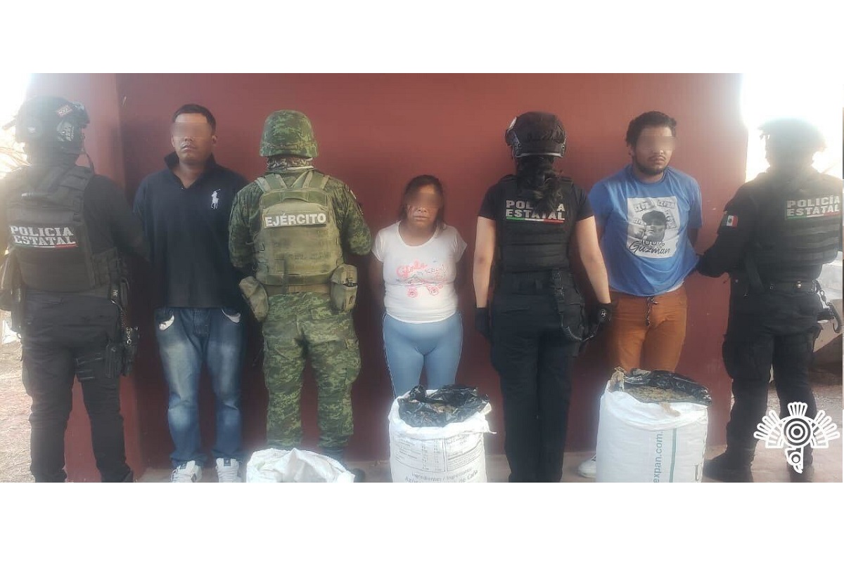 737b6517 0d79 4de2 ad6e 6acb902e8bbc