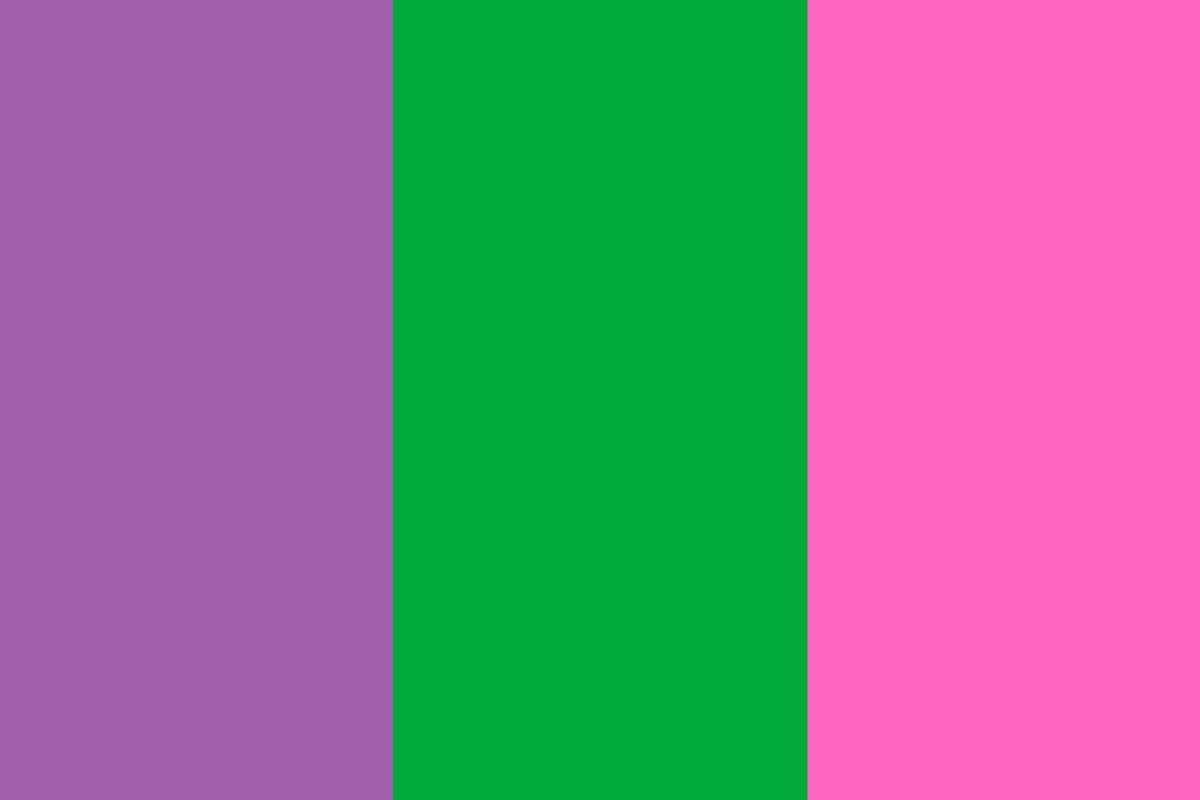 ¿Qué significan los colores violeta, verde y rosa del movimiento feminista? 2 bandera feminista