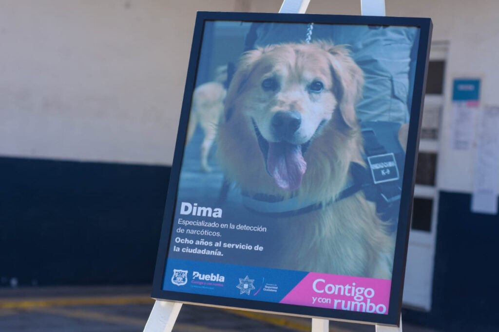 homenaje dima 1