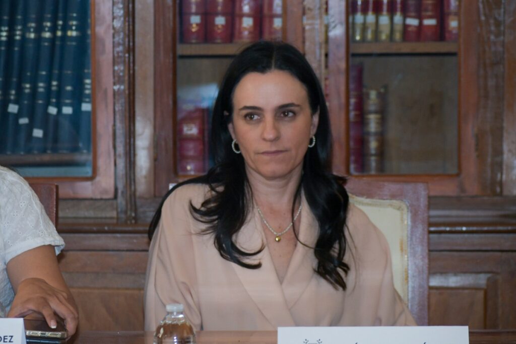 monica rodriguez presidira mesa directiva