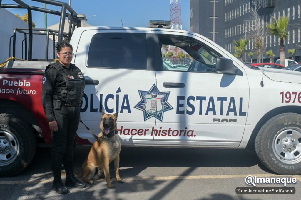 mujeres binomios caninos policia Puebla 3