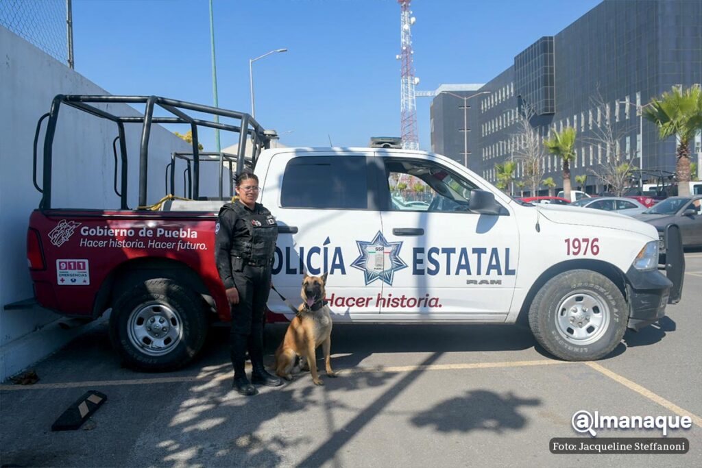 mujeres binomios caninos policia Puebla 6