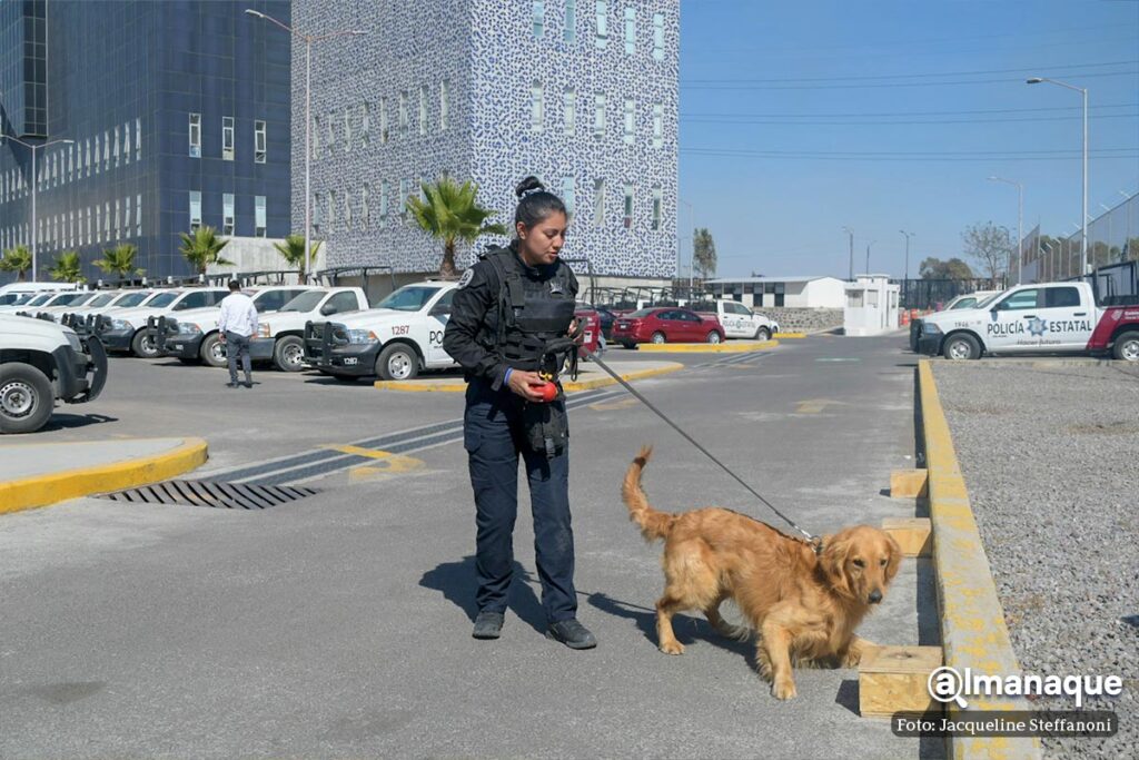 mujeres binomios caninos policia Puebla 7