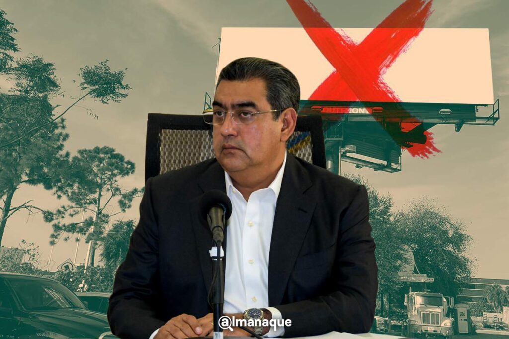 portada Sergio Salomon sobre espectaculares politicos