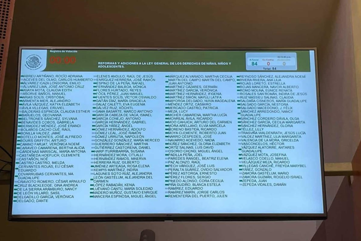 Senado aprobó la creación del Registro Nacional de Deudores Alimentarios 3 senado deudores alimentarios 1