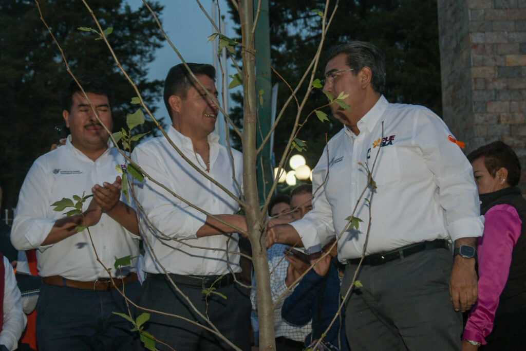 Avenida tecnologico 3