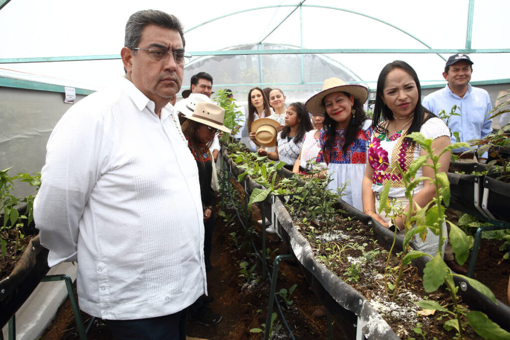 Sergio Salomon Huauchinango 1