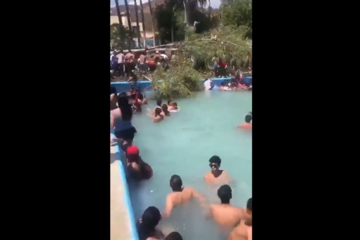 Bebé murió tras caída de árbol en parque acuático de Guanajuato 3 Árbol mató a bebé al caer en parque acuático