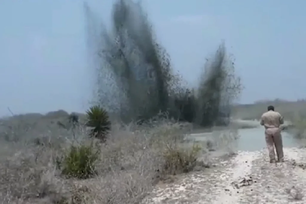 chernobil tamaulipeco