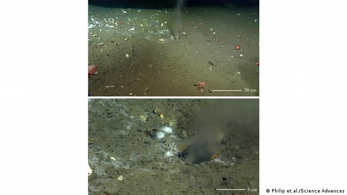 fuga en el fondo del océano