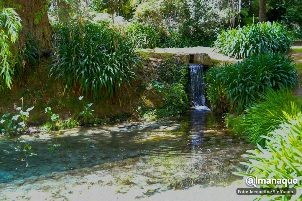 manantial Agua Santa Maria Puebla 11