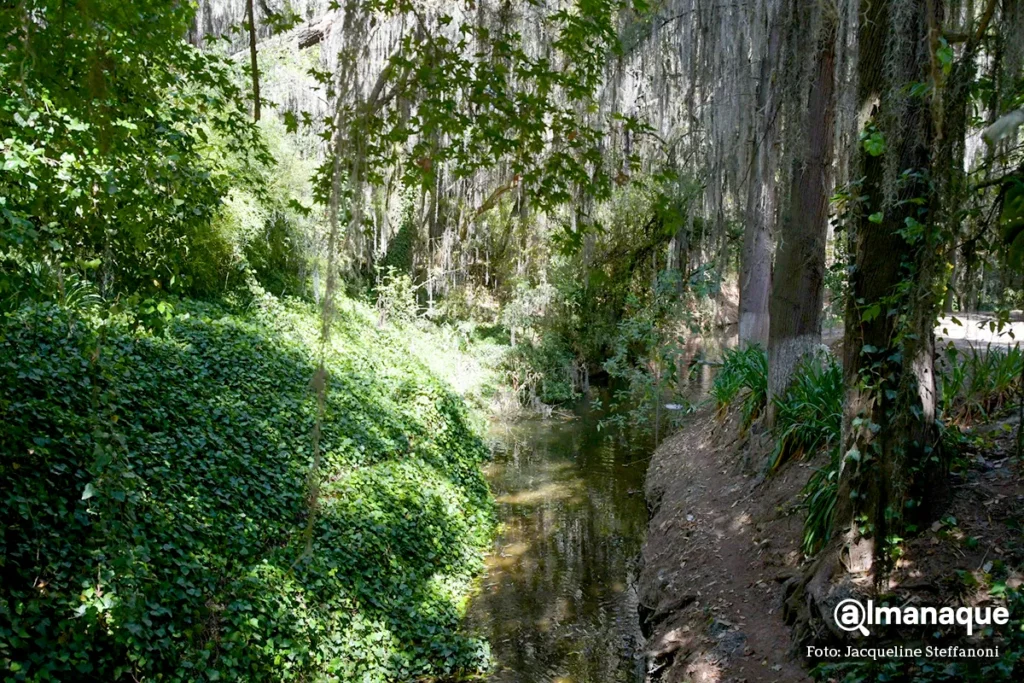 manantial Agua Santa Maria Puebla 21