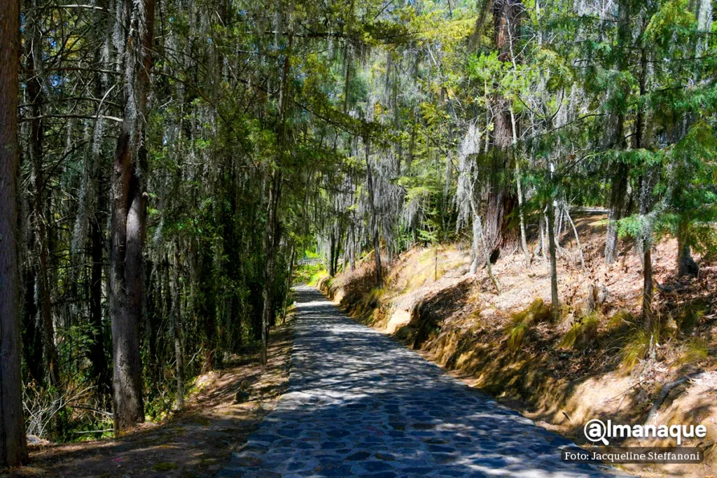 manantial Agua Santa Maria Puebla 5