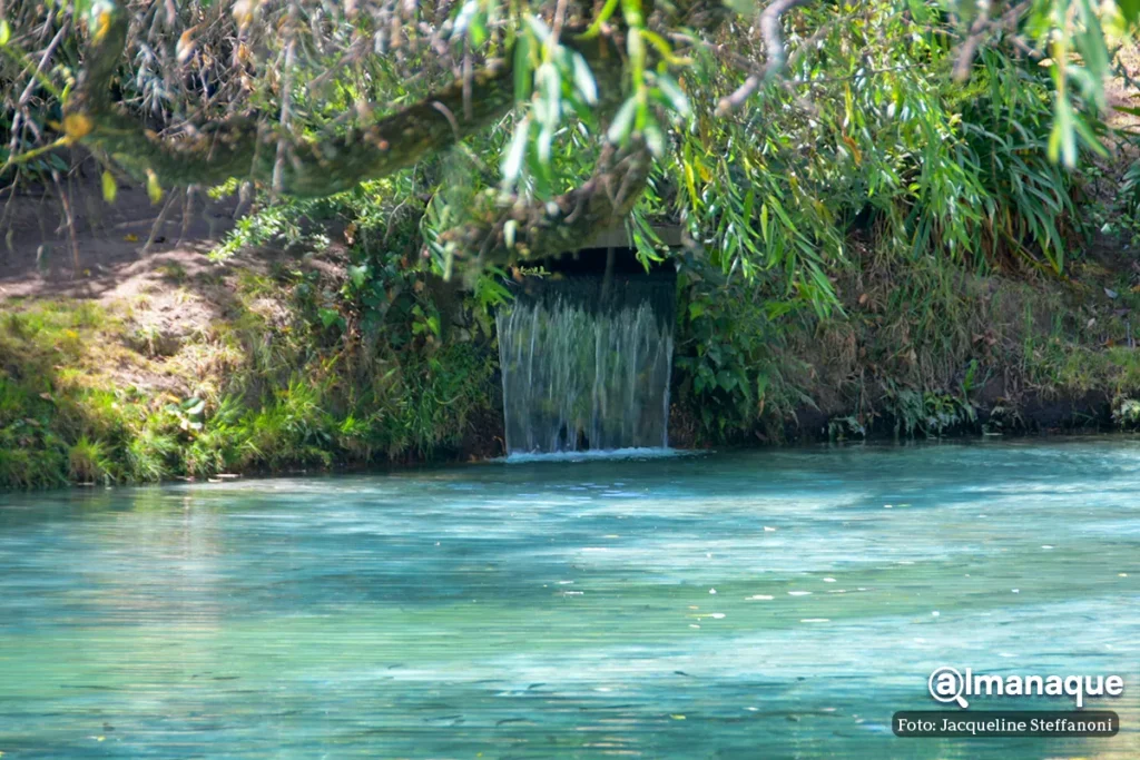 manantial Agua Santa Maria Puebla 6