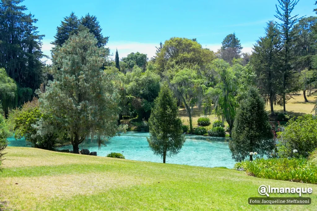 manantial Agua Santa Maria Puebla 9