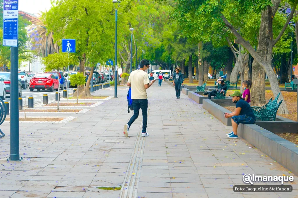 rehabilitacion del Paseo Bravo 12