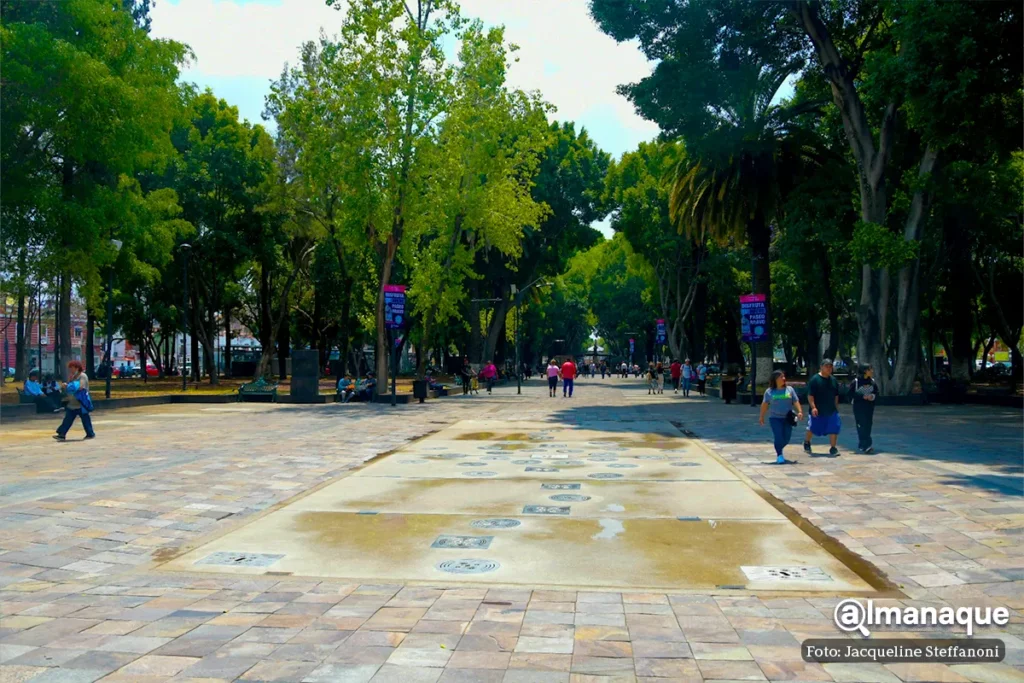 rehabilitacion del Paseo Bravo 15