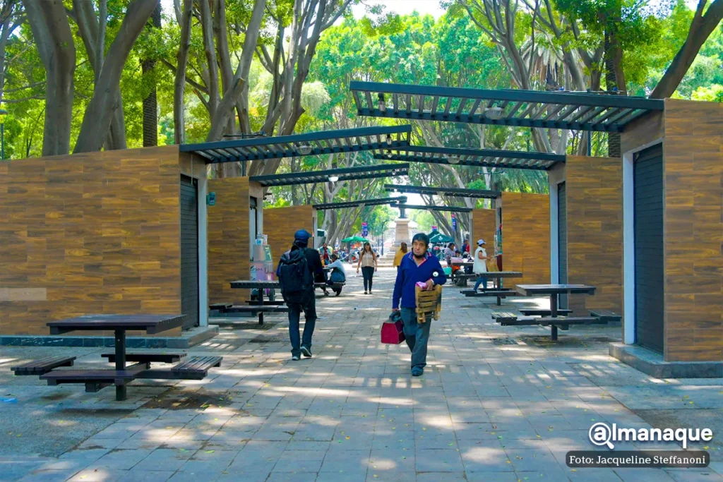 rehabilitacion del Paseo Bravo 2