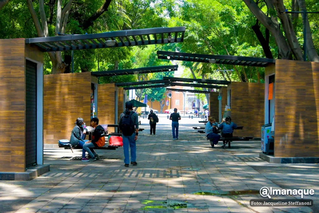 rehabilitacion del Paseo Bravo 4