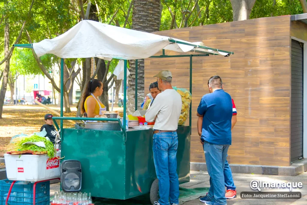 rehabilitacion del Paseo Bravo 5