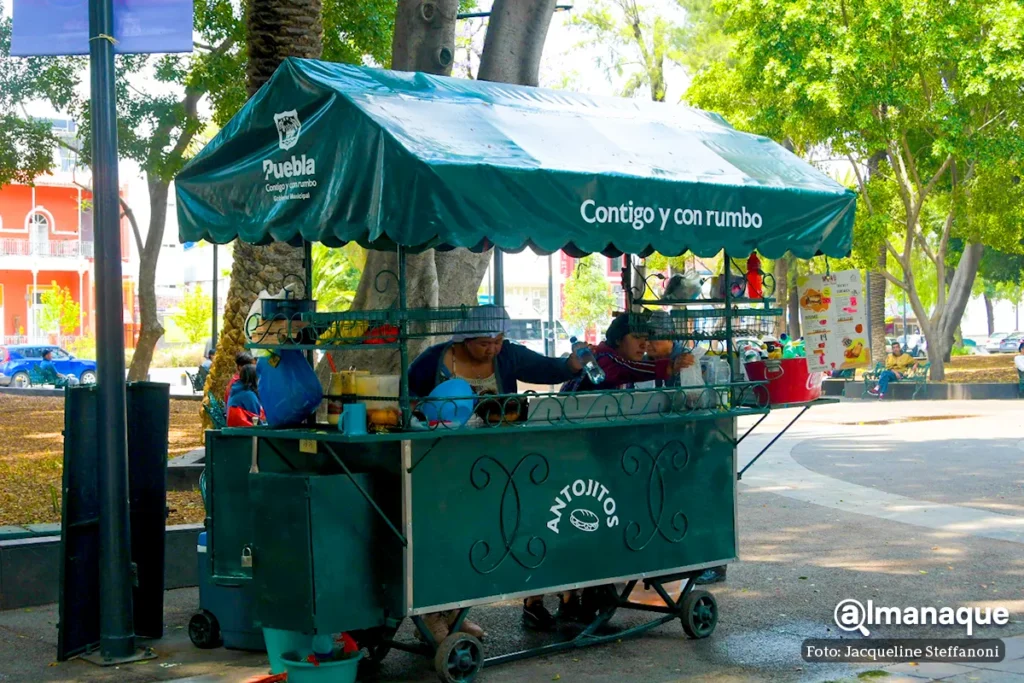 rehabilitacion del Paseo Bravo 7