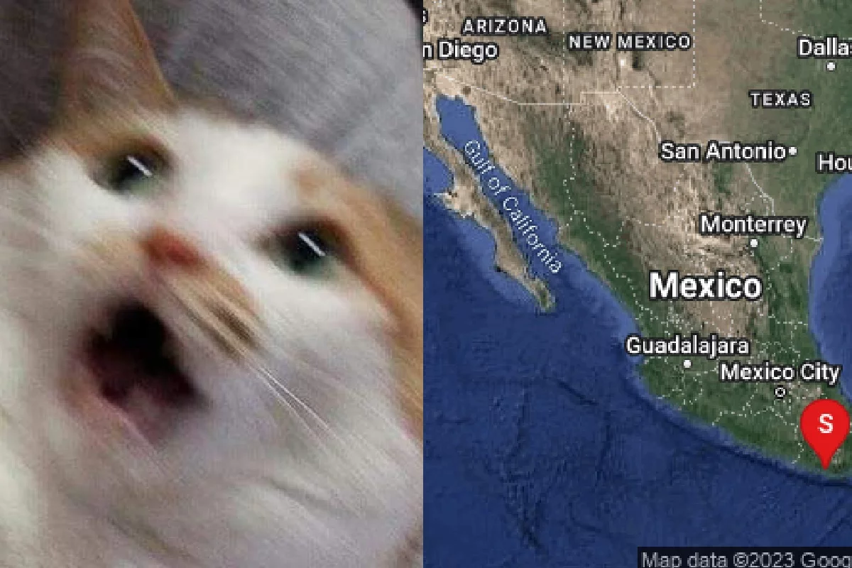 Los memes que dejó el sismo de magnitud 5.5 en Oaxaca 2 sismo 5.5