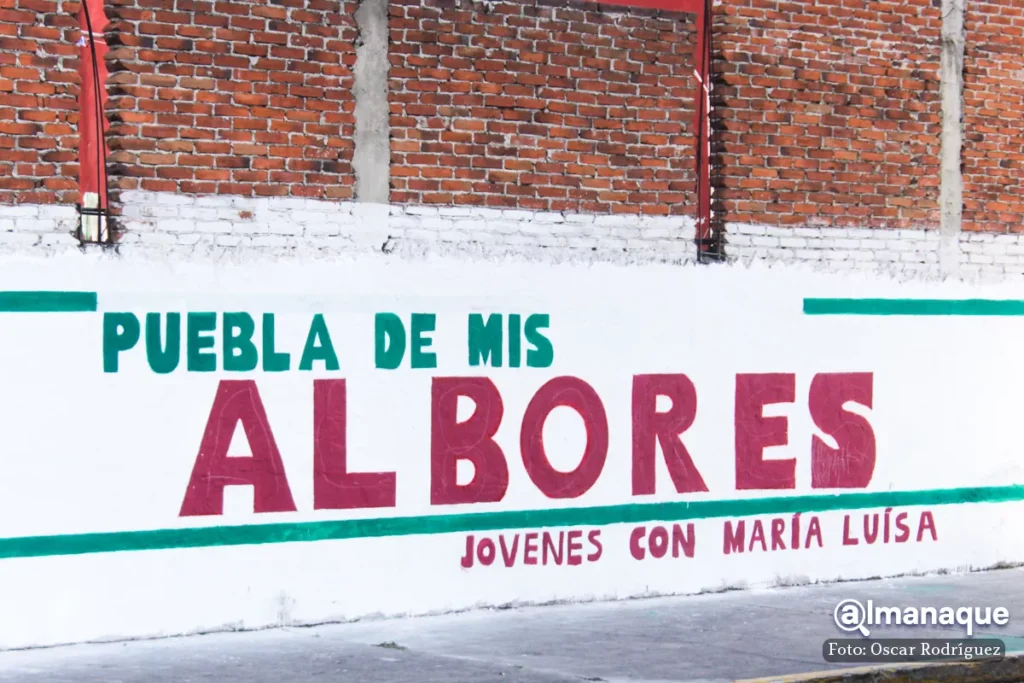 Bardas Maria Luisa Albores 2