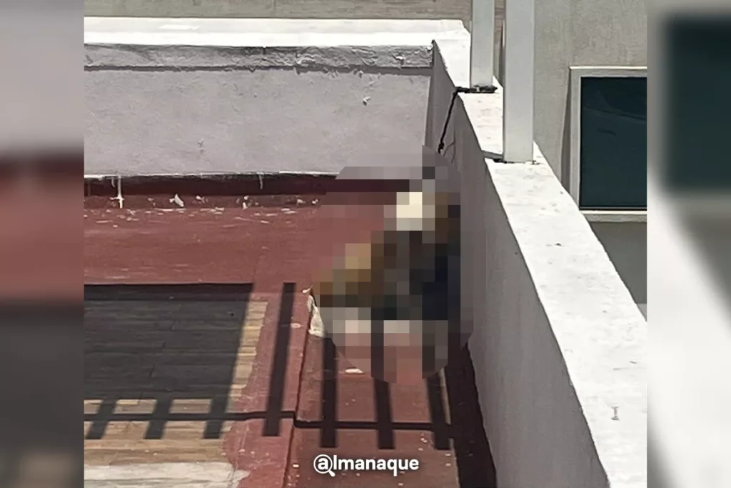 Lomito muere estrangulado en Lomas de Angelopolis