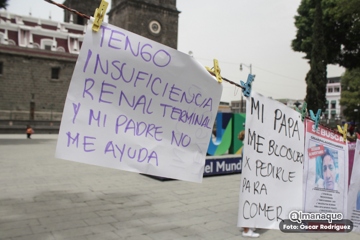 deudores alimentarios