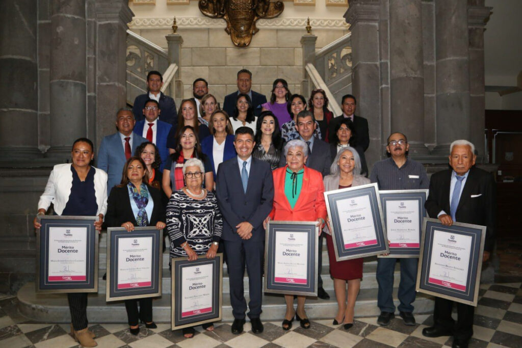 distinciones merito docente