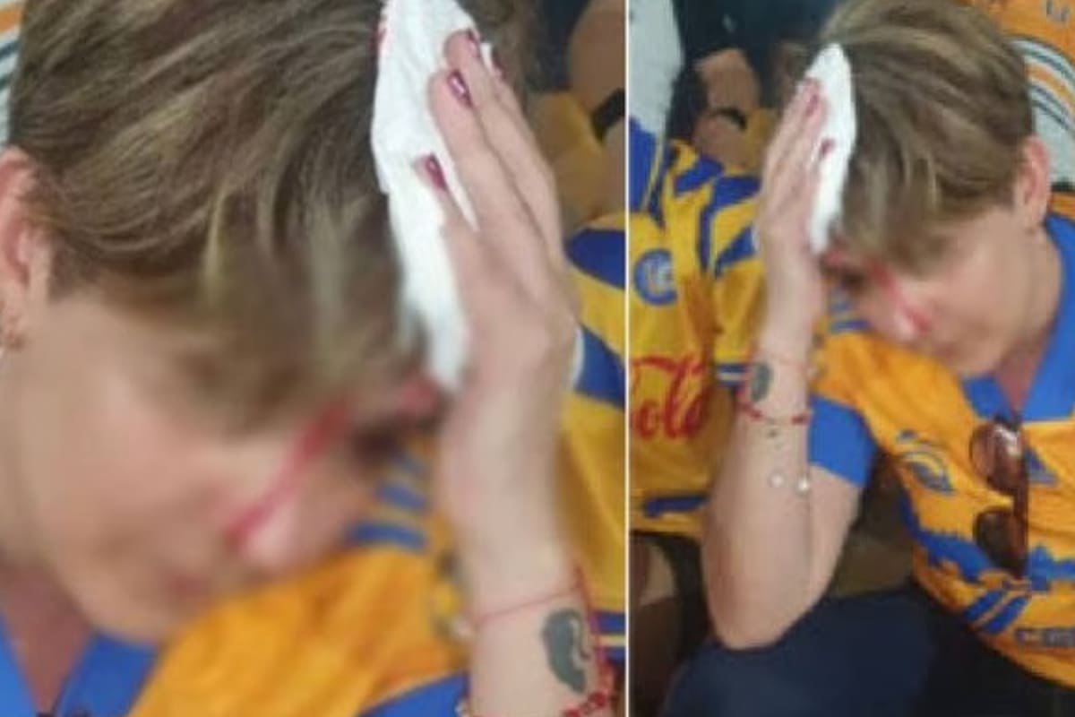 Pedazo del estadio de Tigres le cae a una aficionada
