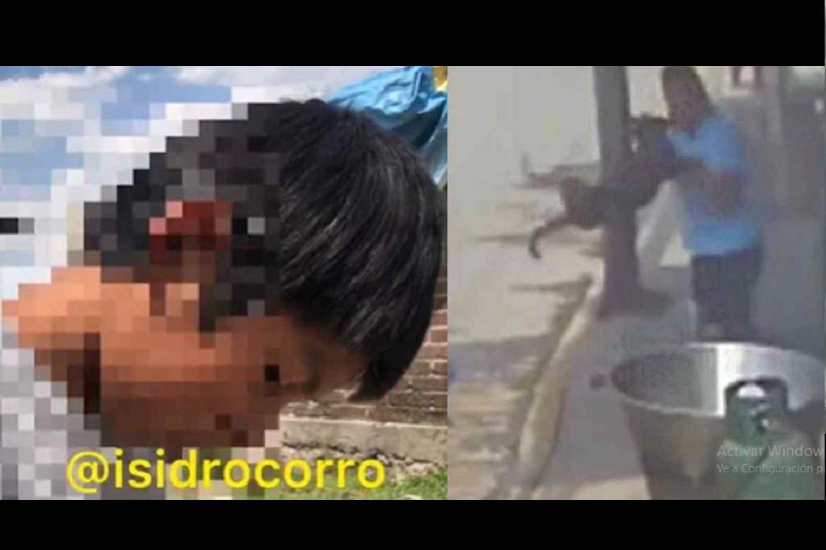 “No pude hacer nada”: niño narra cómo vio morir a su perro Scooby en aceite hirviendo 4 justicia para scooby 1