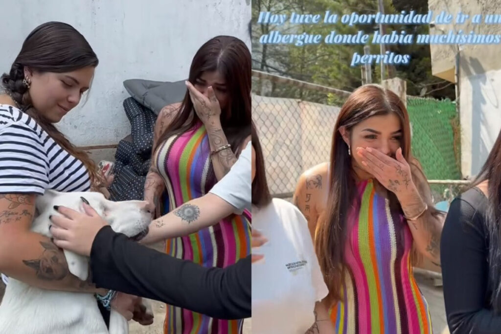 Karely Ruiz en medio de polémica por posible filtración de video íntimo con un seguidor 6 Karely Ruiz refugio de perros