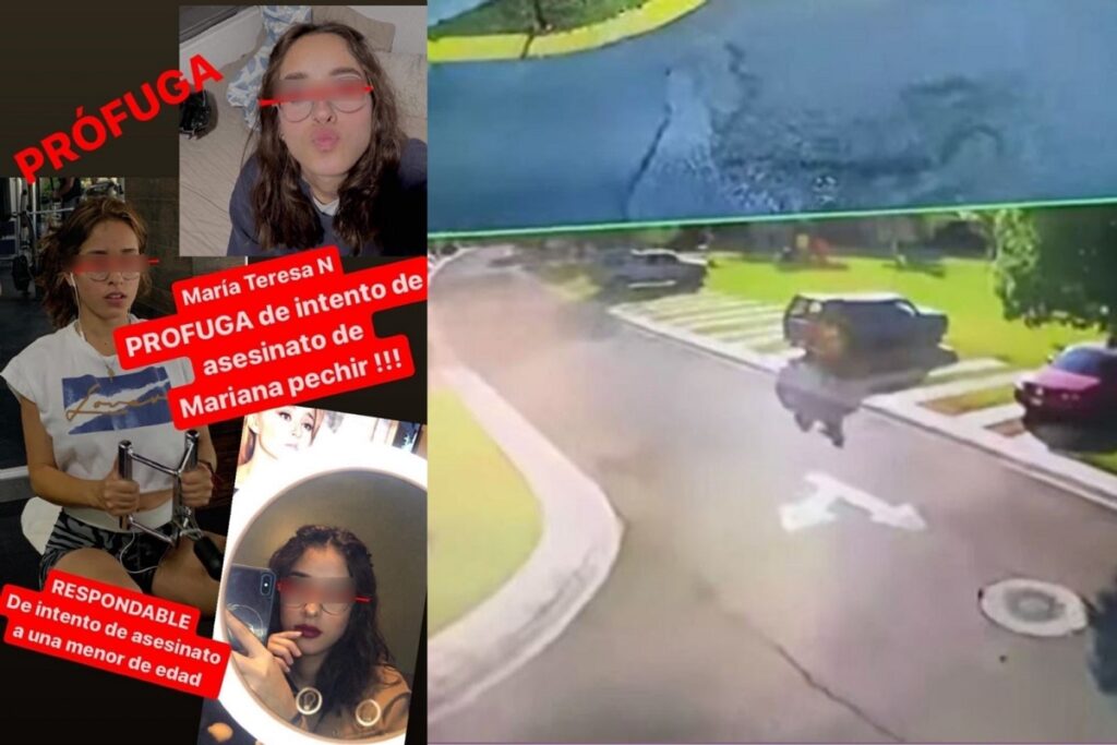 Donan órganos de Mariana Pechir, joven asesinada por la actual pareja de su ex novio en Querétaro 5 Mariana Pechir