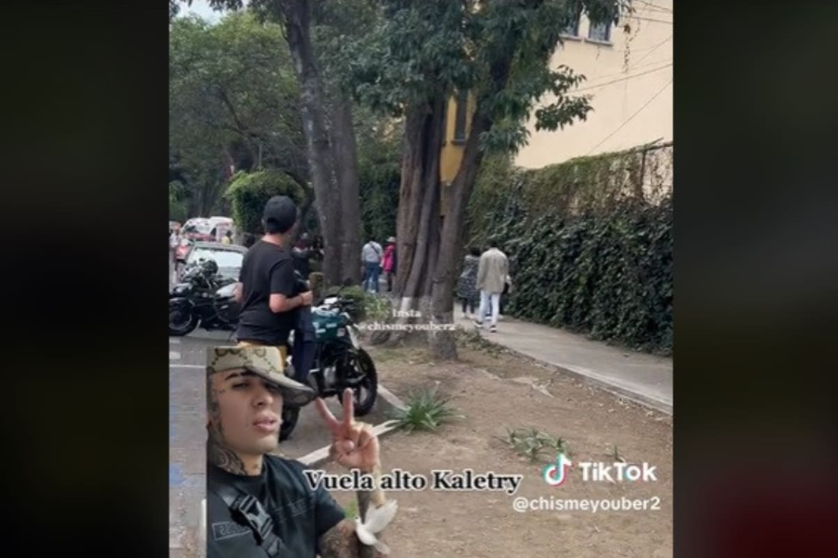 Asesinan a influencer en rueda de prensa de Wendy Guevara de Las Perdidas 3 Matan a influencer en CDMX