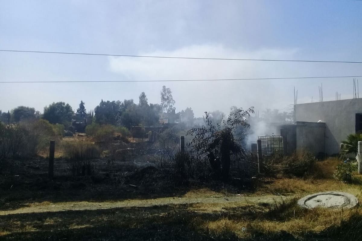 Proponen multar con 31 mil pesos a dueños de lotes baldíos que no los limpien en Puebla 3 multas 31 mil pesos dueños lotes baldíos en Puebla