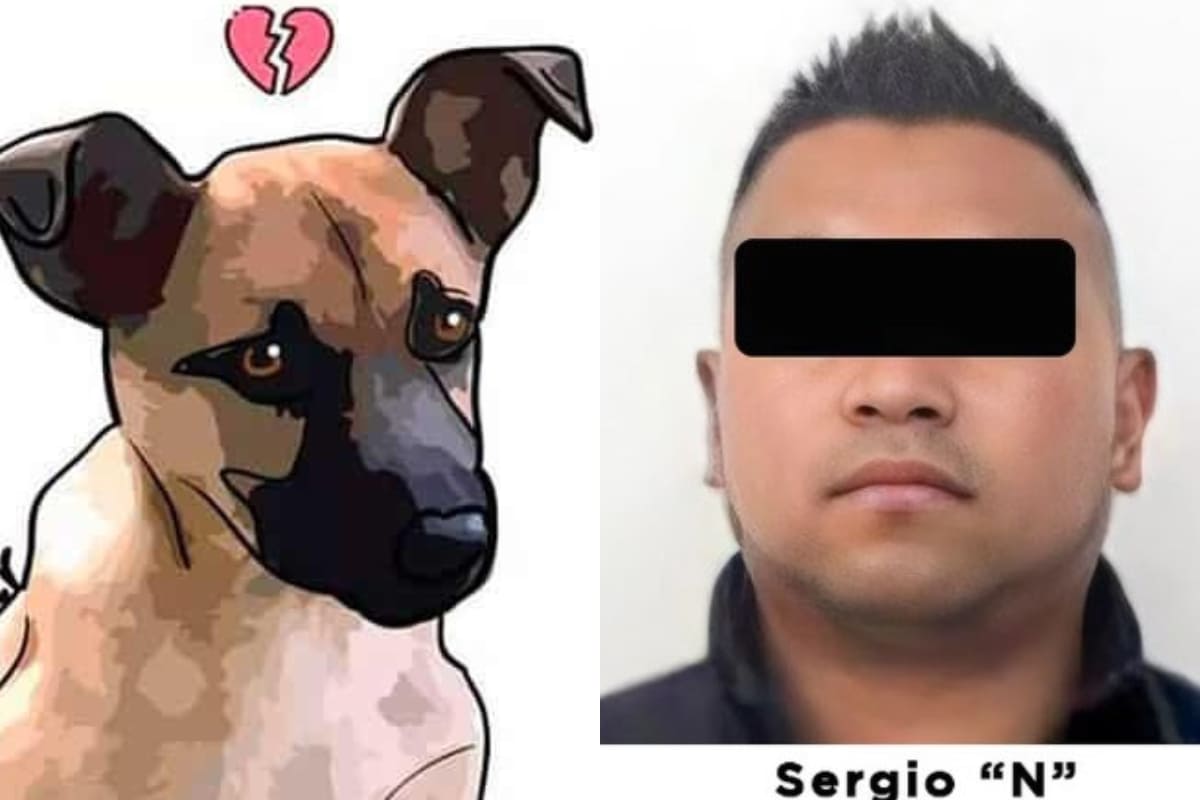 Dictan prisión preventiva a Sergio N., el hombre que arrojó a un perro en aceite hirviendo 3 Prisión preventiva sergio N