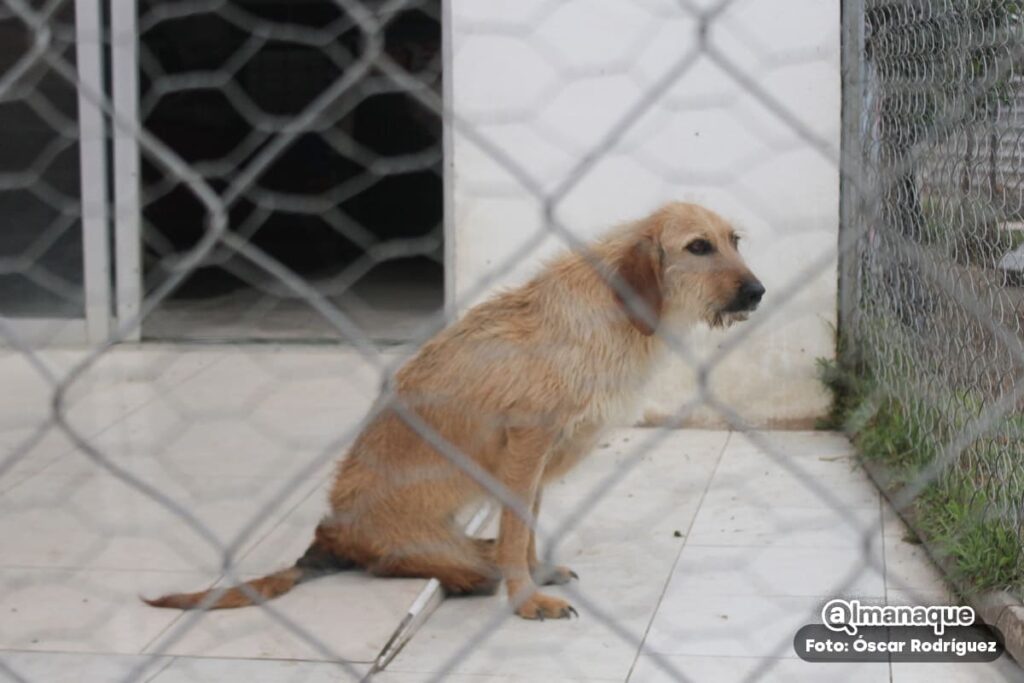Refugio de Monty en Chipilo