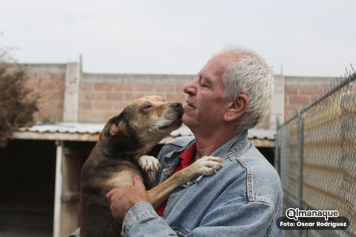 El Refugio de Monty en Chipilo, un santuario que da una segunda oportunidad a perros de la calle 15 refugio monty 3