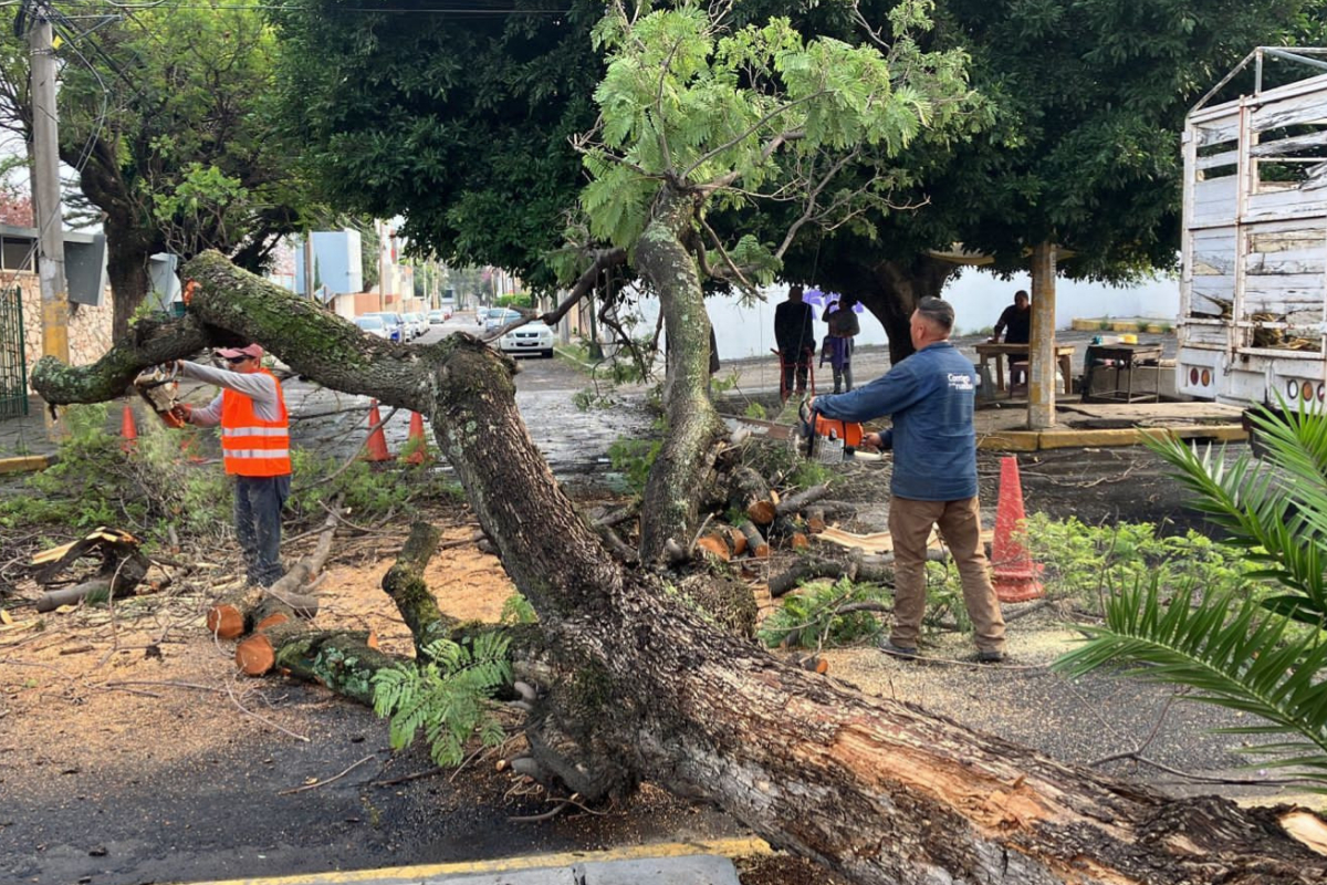 Ayuntamiento de Puebla atiende oportunamente reportes por lluvia 1 reportes por lluvia