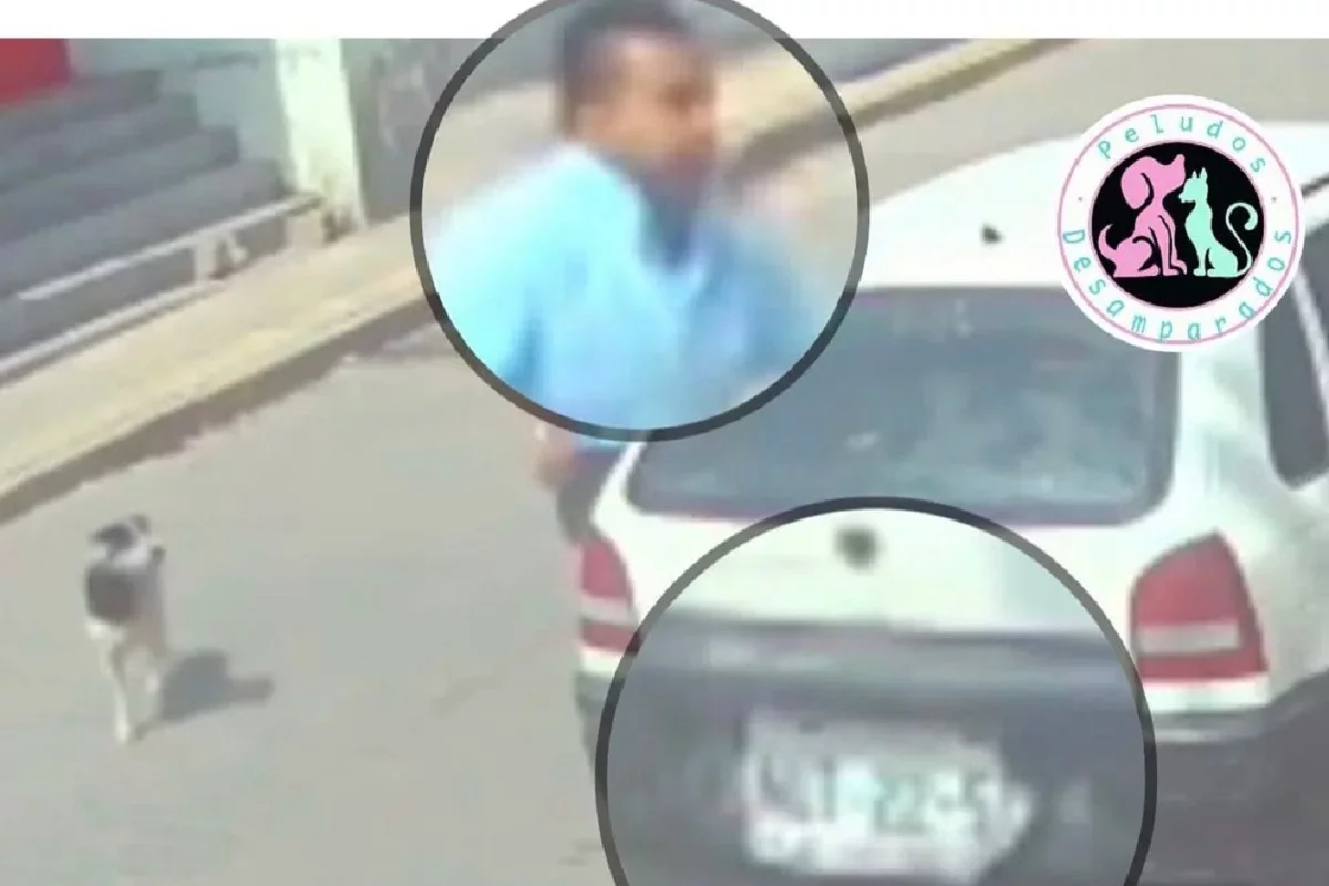 sujeto arroja a perrito a un cazo con manteca hirviendo