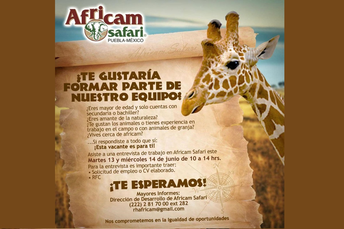 ¿Buscas trabajo? Estas son las vacantes que ofrece Africam Safari 3 Africam Safari vacantes