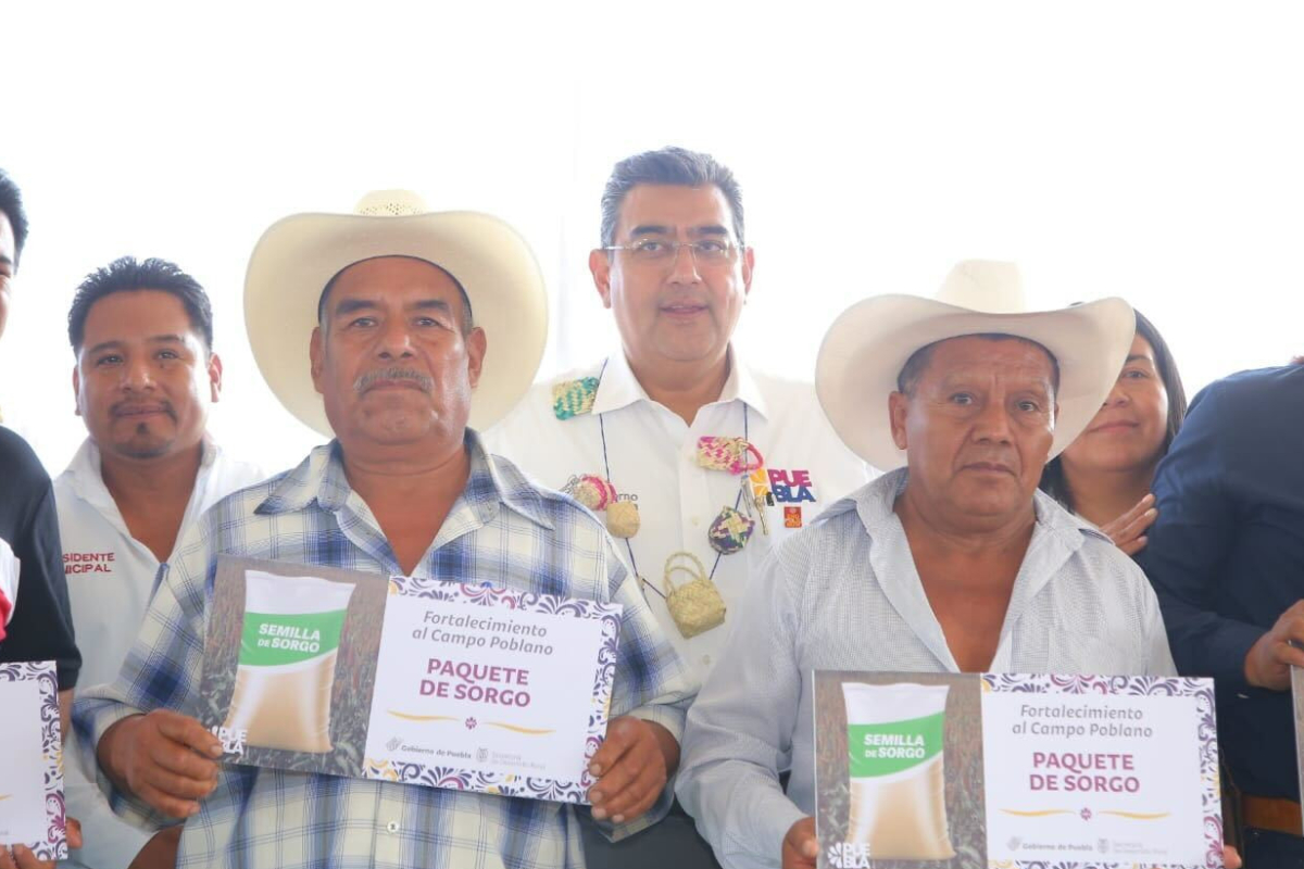 Para fortalecer a la mixteca, gobierno de Puebla detonará producción de agave mezcalero 1 Agave mezcalero Puebla