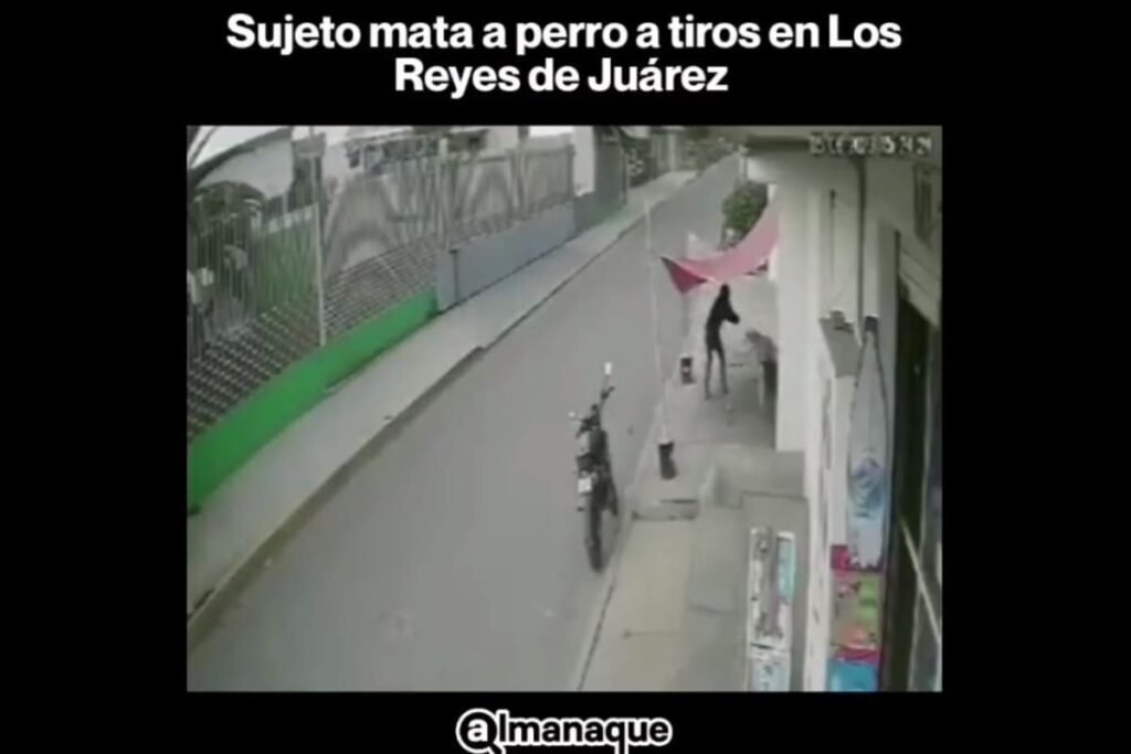 Crueldad animal en Puebla