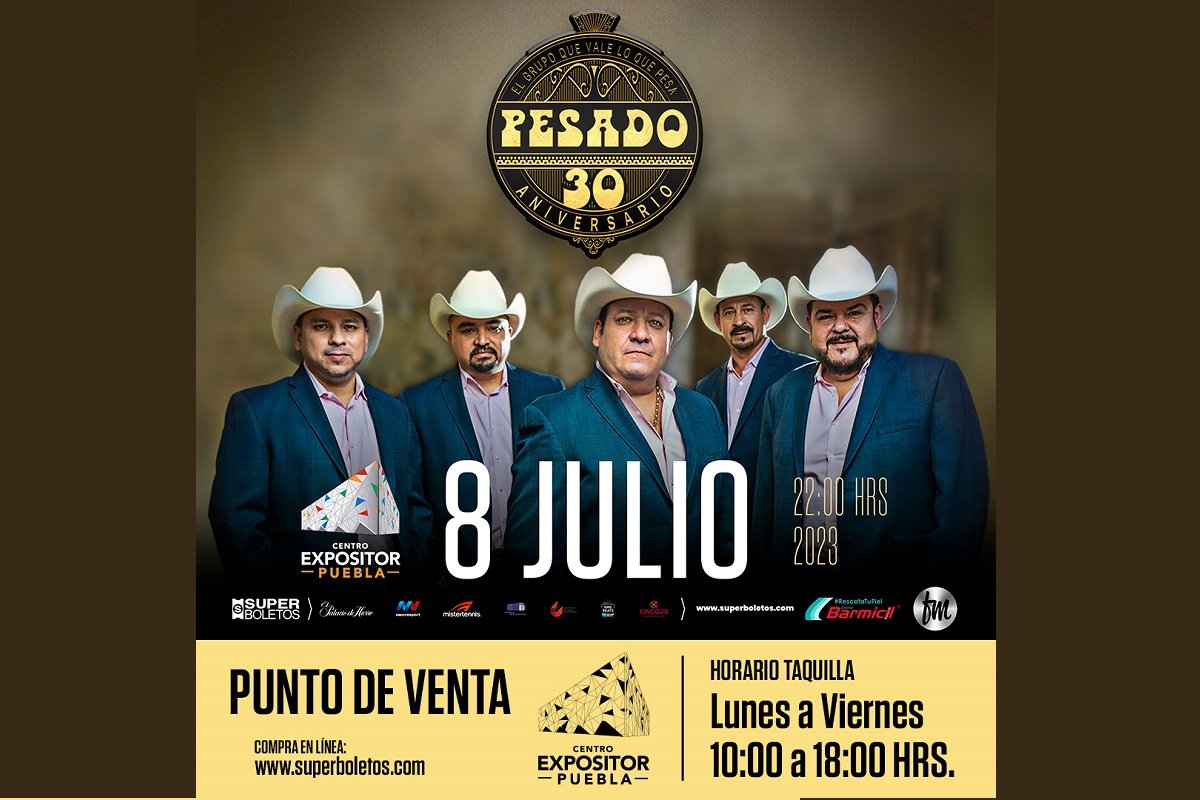 PUNTO DE VENTA PESADO