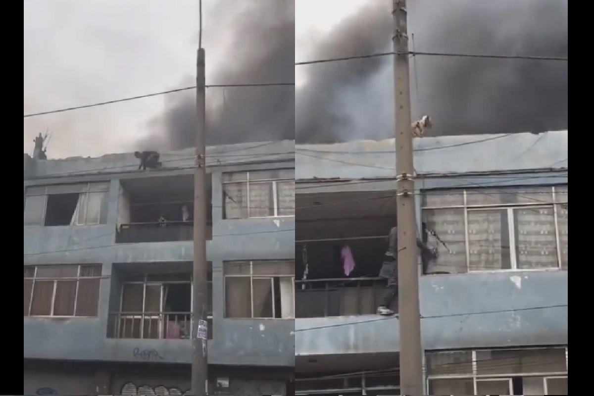¡Héroe! Un hombre en situación de calle rescata a 25 perritos de un incendio en Perú 3 Un hombre en situacion de calle rescata a 25 perritos de un incendio en Peru