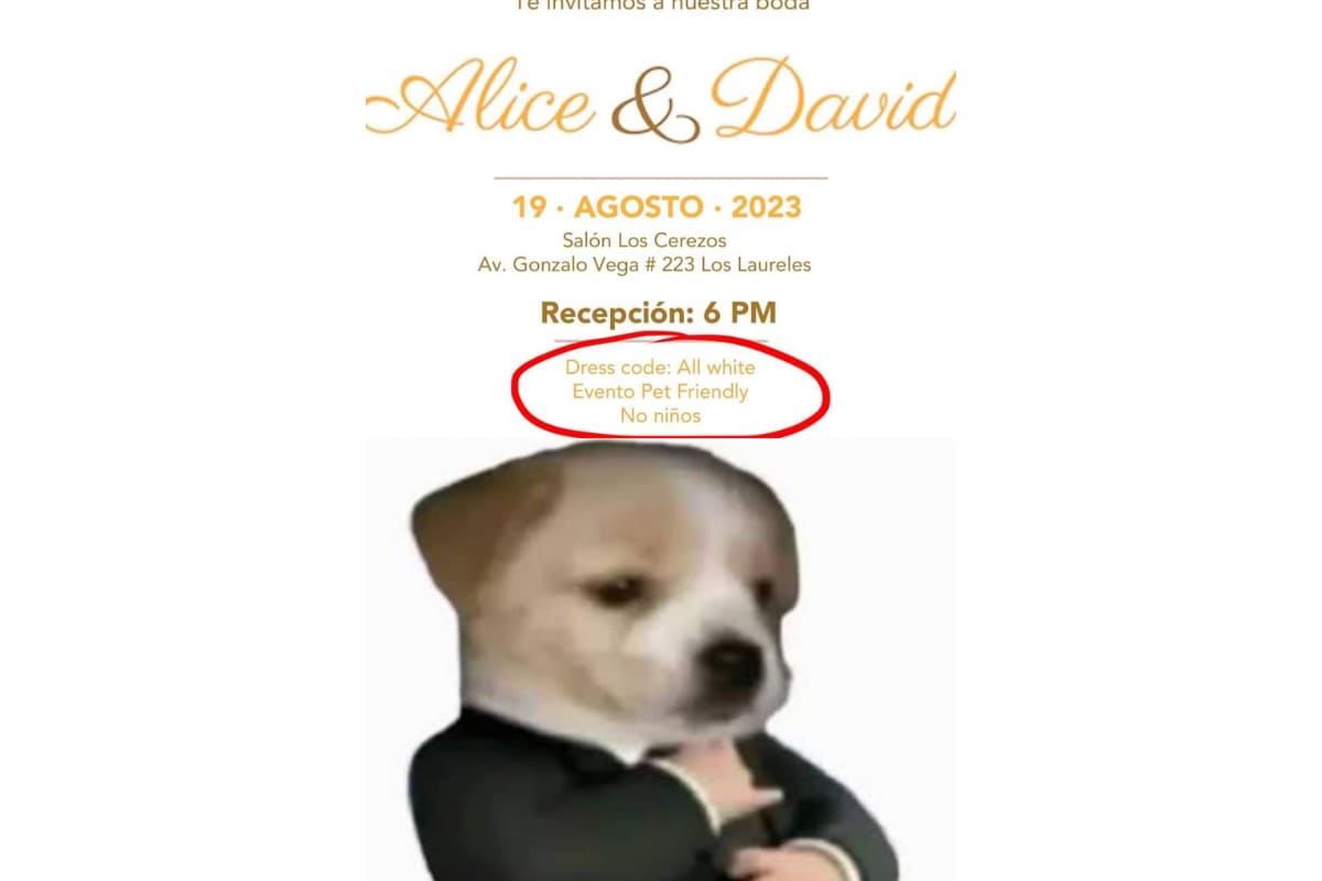 Niños no, animales sí: Invitación a boda causa polémica en redes sociales 3 invitación boda sin niños