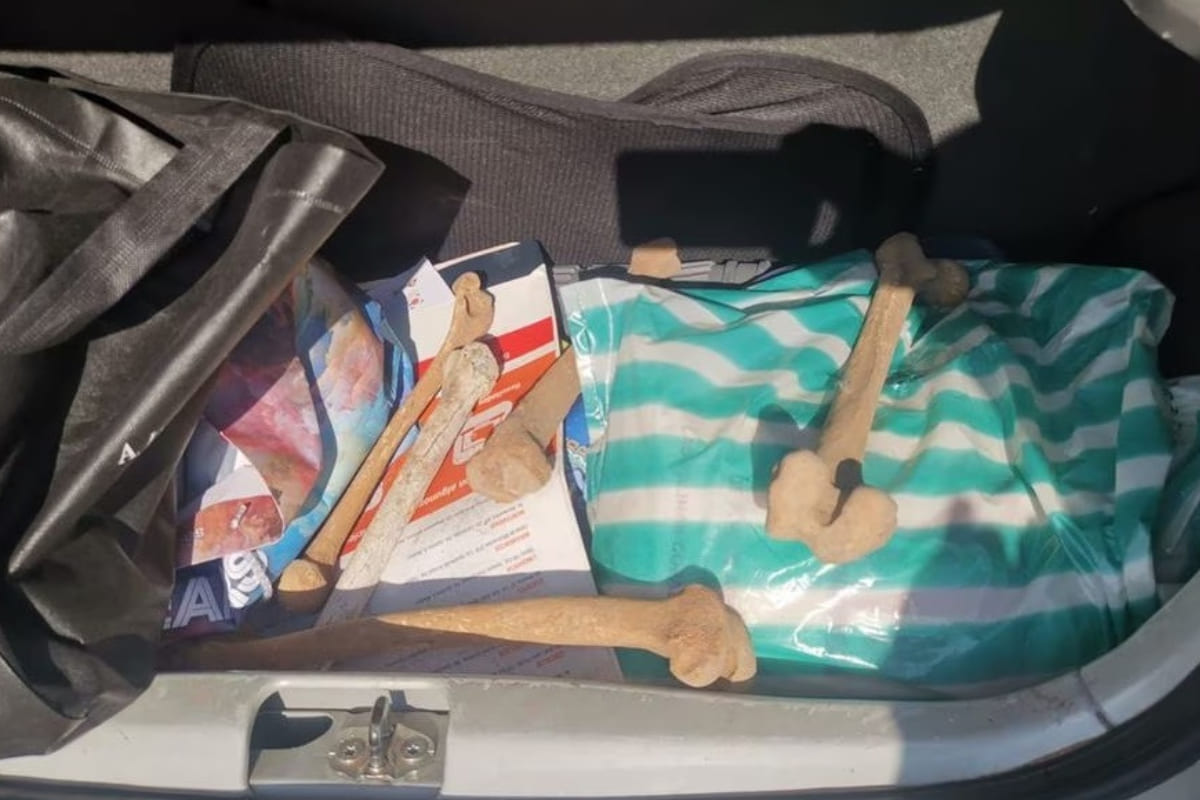 Huesos robados en Iztapalapa