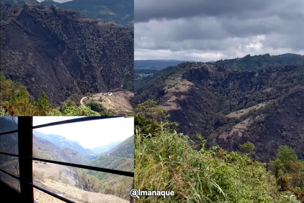 incendio zacatlan 700 hectareas fueron afectadas