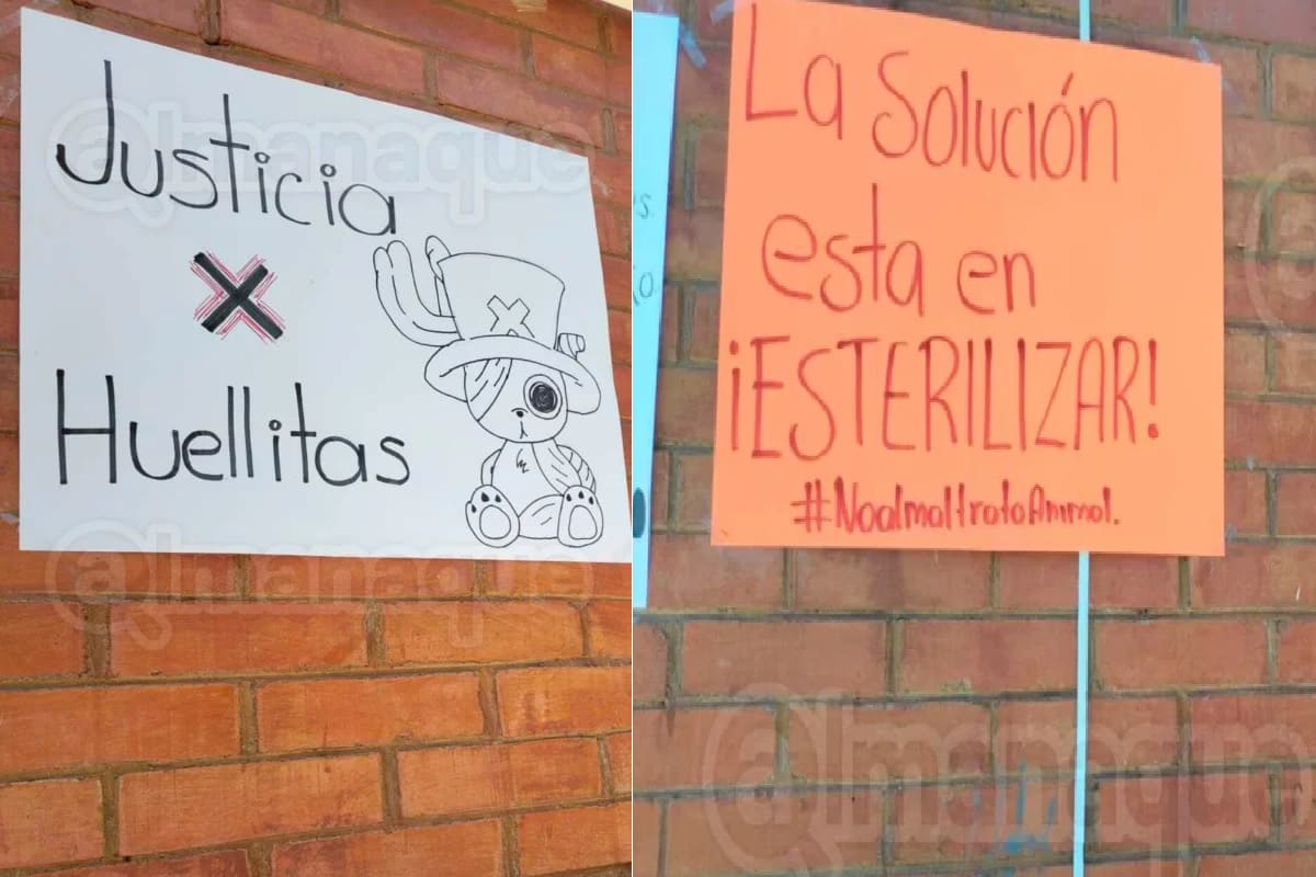 No quedará impune asesinato de "huellitas" por parte de una adolescente en Huauchinango 4 justicia para huellitas